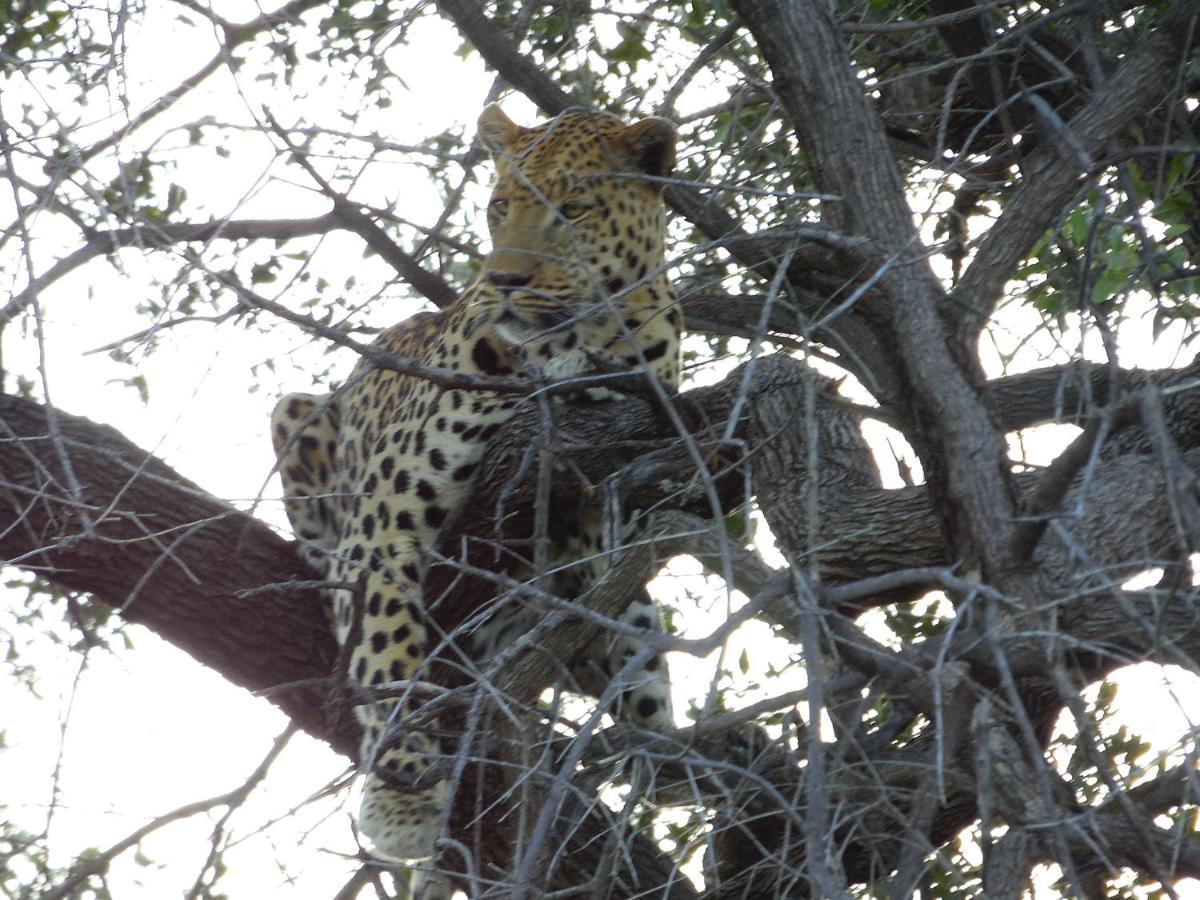 Aloegrove Safari Lodge Otjiwarongo Exteriér fotografie
