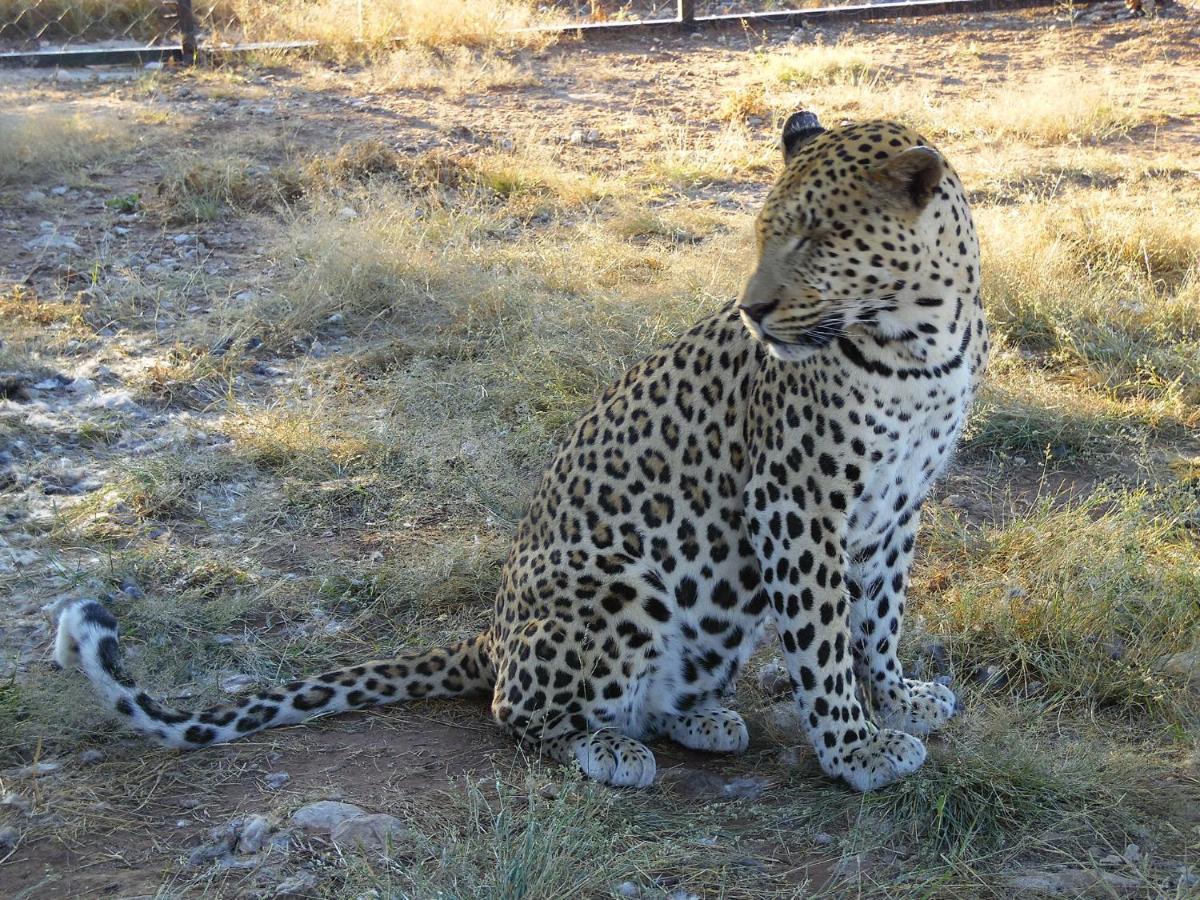 Aloegrove Safari Lodge Otjiwarongo Exteriér fotografie
