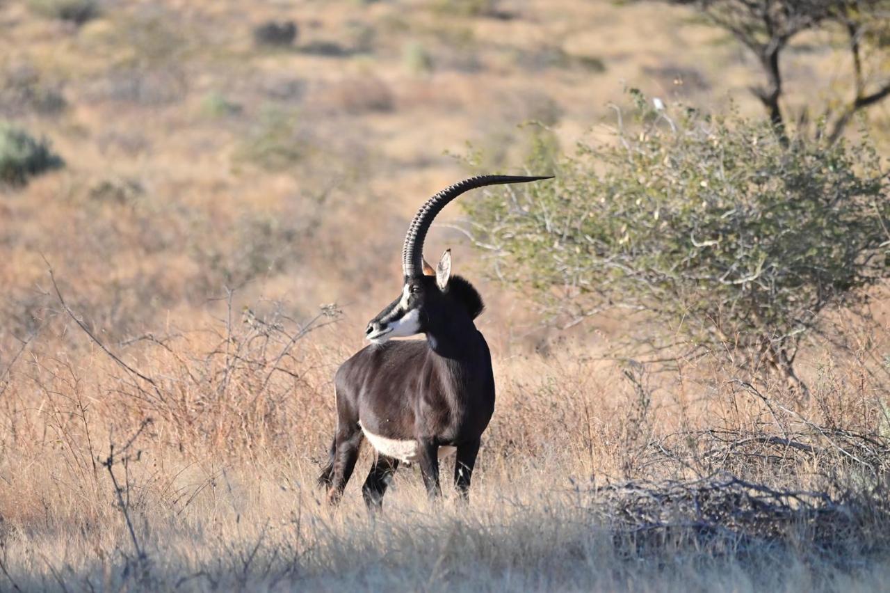 Aloegrove Safari Lodge Otjiwarongo Exteriér fotografie