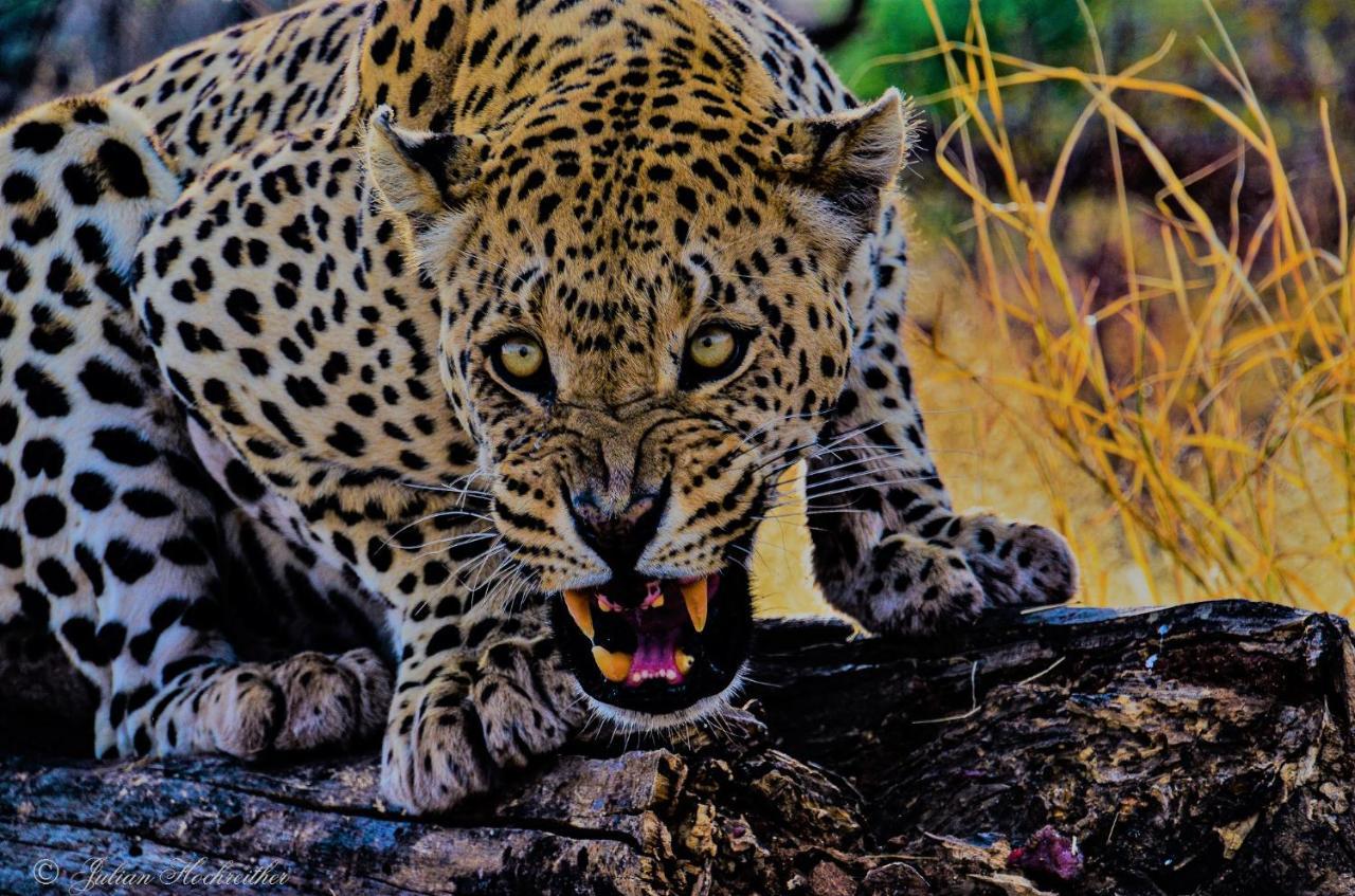 Aloegrove Safari Lodge Otjiwarongo Exteriér fotografie