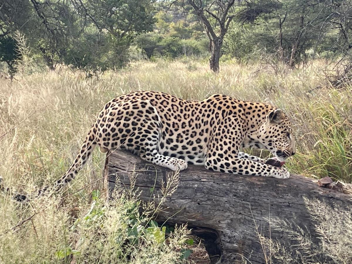 Aloegrove Safari Lodge Otjiwarongo Exteriér fotografie