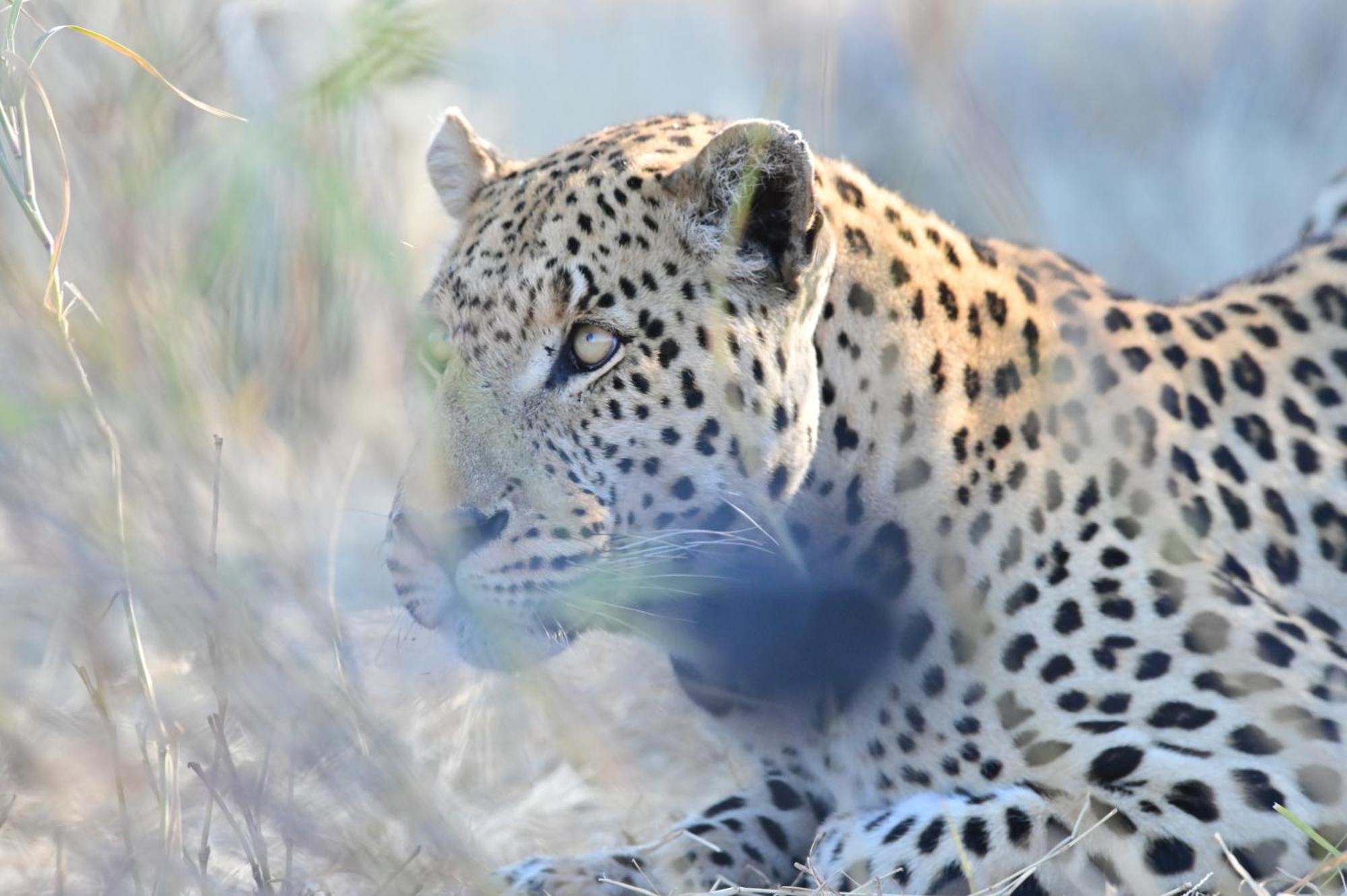 Aloegrove Safari Lodge Otjiwarongo Exteriér fotografie