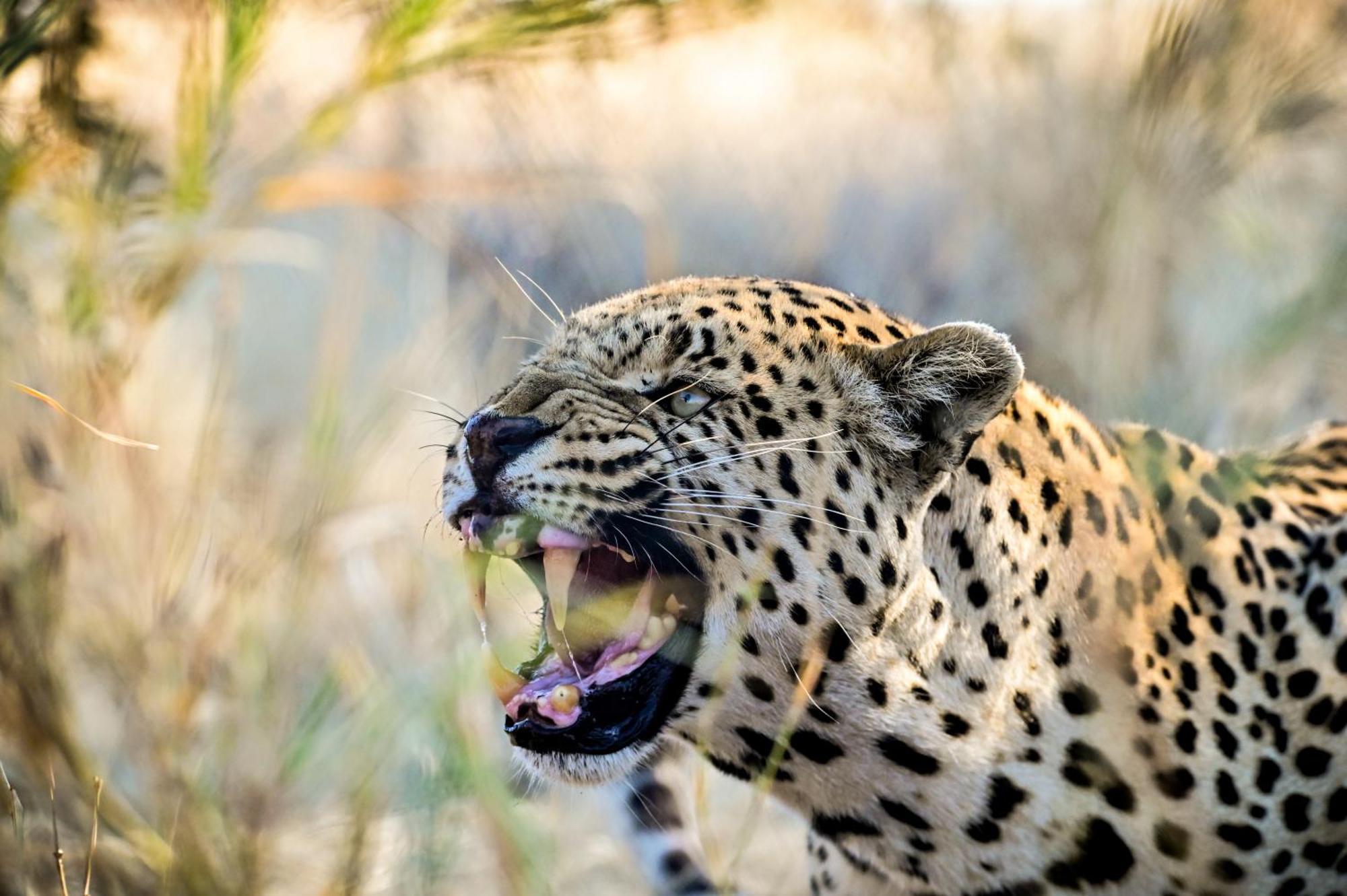Aloegrove Safari Lodge Otjiwarongo Exteriér fotografie