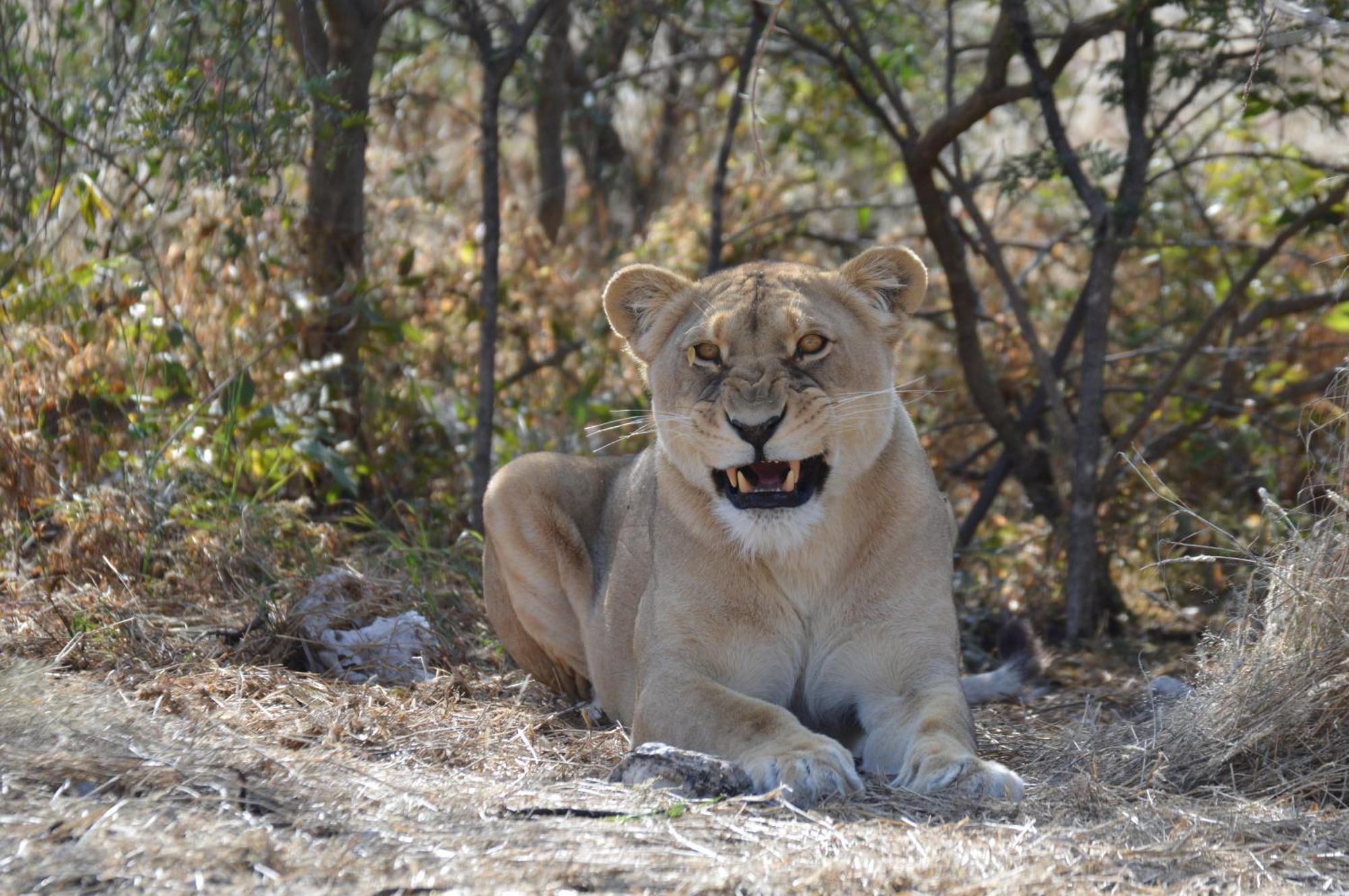Aloegrove Safari Lodge Otjiwarongo Exteriér fotografie