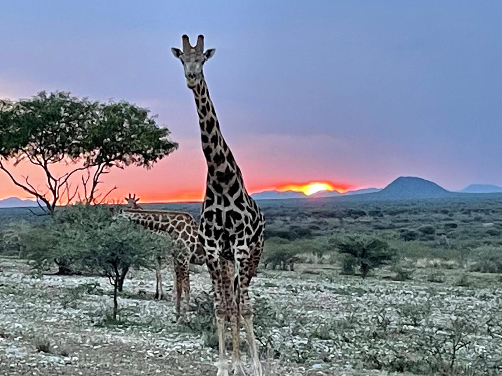 Aloegrove Safari Lodge Otjiwarongo Exteriér fotografie