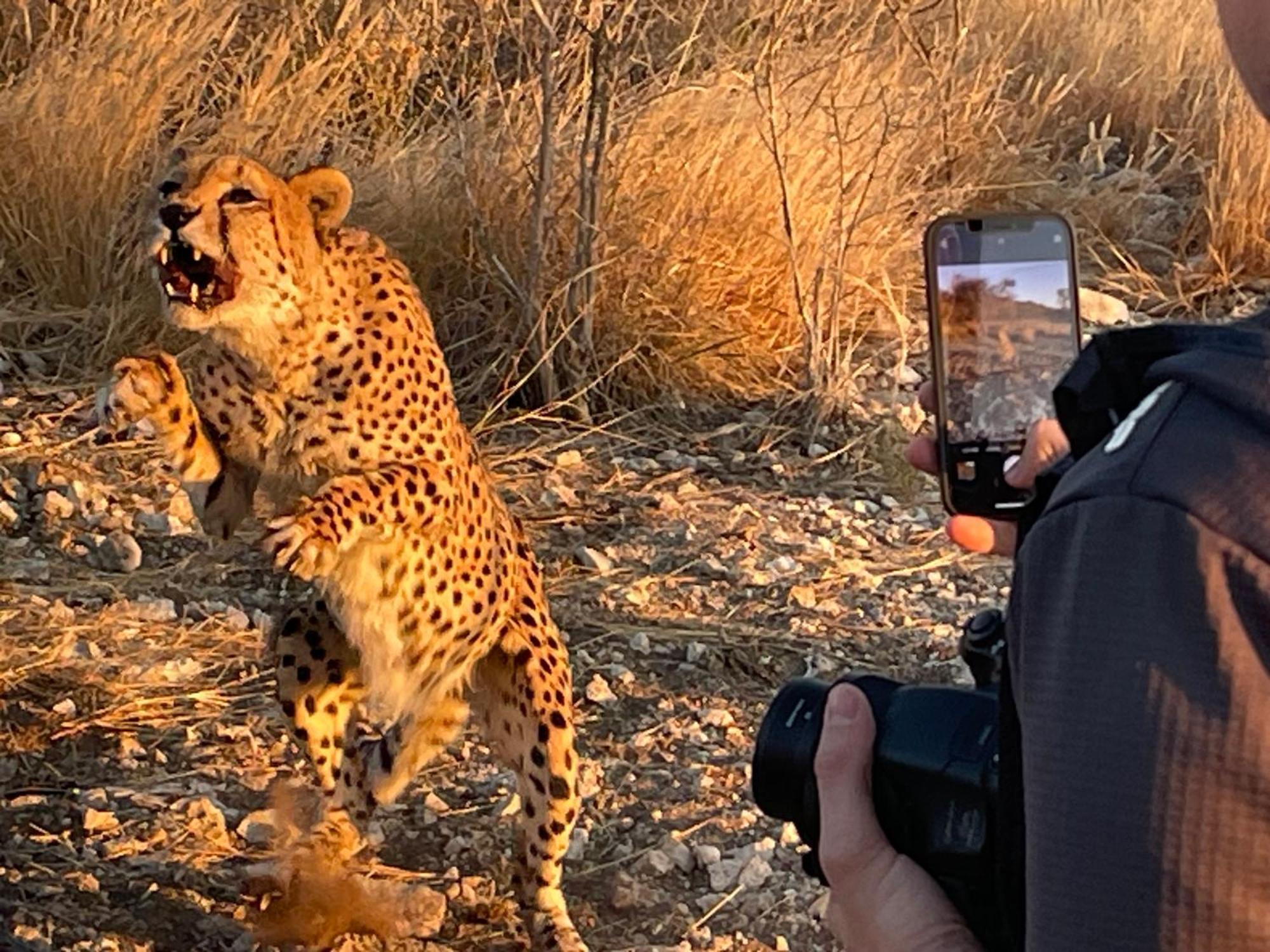 Aloegrove Safari Lodge Otjiwarongo Exteriér fotografie