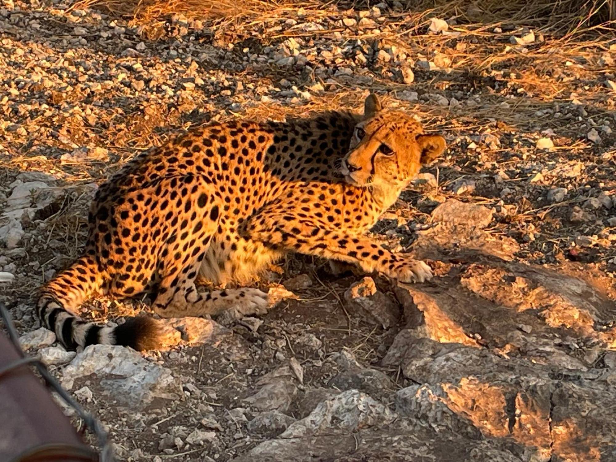 Aloegrove Safari Lodge Otjiwarongo Exteriér fotografie