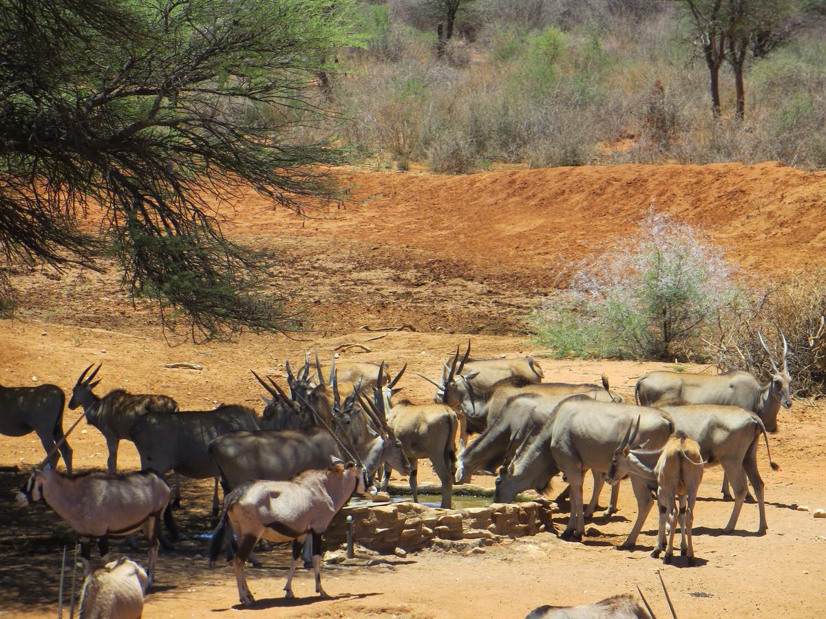 Aloegrove Safari Lodge Otjiwarongo Exteriér fotografie