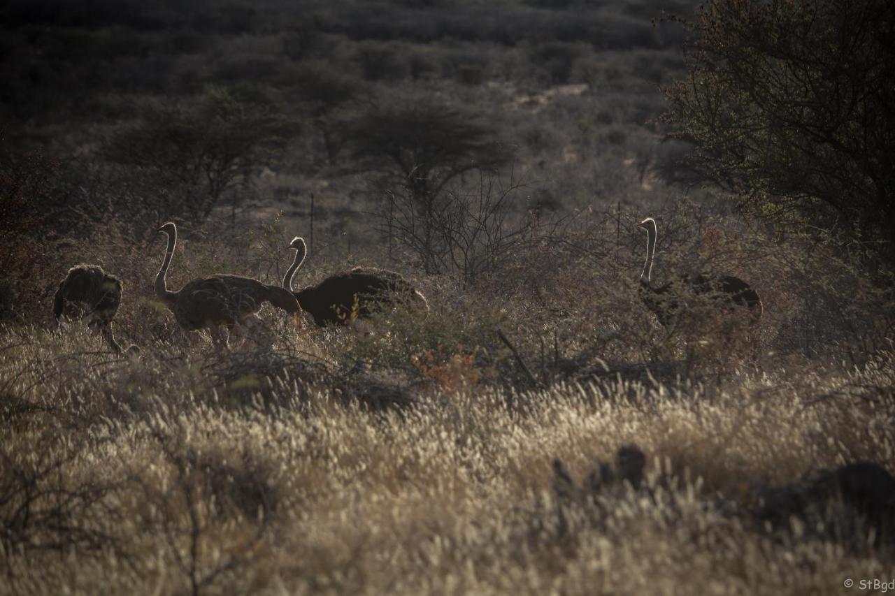 Aloegrove Safari Lodge Otjiwarongo Exteriér fotografie